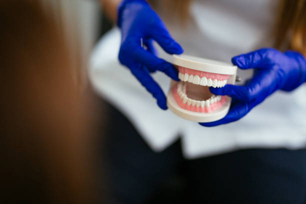 Lealman, FL  Holistic Dental Services Company